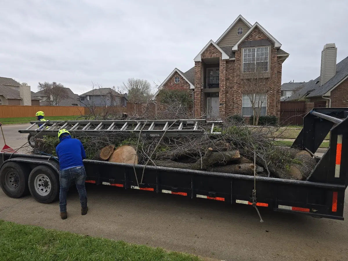 Expert Tree Fertilization with proper safety equipment in Thompson